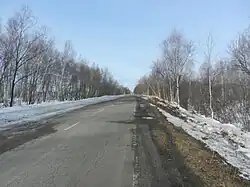 Дорога из посёлка Хальгасо на Старт