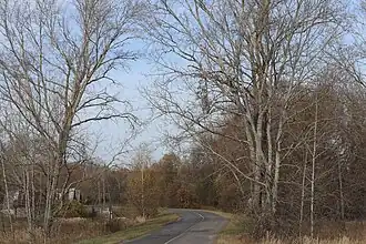 Дорога через Олевку.