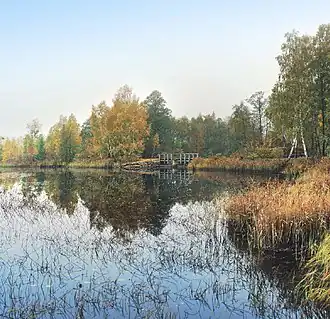 пруд Дедово Озеро