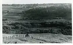 Деревня Никишинская (Савинская) - фото 60-е годы (внизу р.Еменьга)