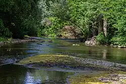 Нижнее течение реки у деревни Нижний Изяк