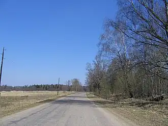 дорога в деревне