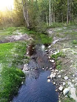 Вид по течению