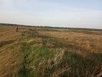 Валы городища