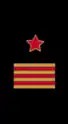 нарукавный знак ВМФ