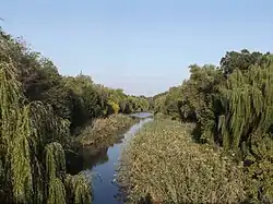 Река Мокрая Московка