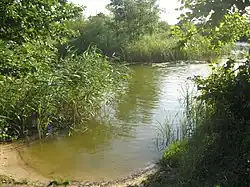 Затон на Курлаке к западу от Старого Курлака