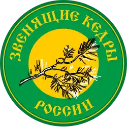 Логотип — ветка сибирского кедра на фоне солнца