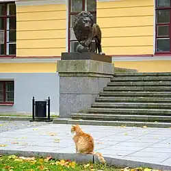 Один из львов перед фасадом здания Присутственных мест, Великий Новгород