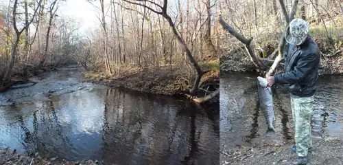 Маленькая горная река, в которой нерестится кета