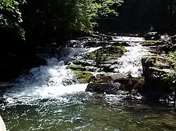 Зеленица (Зубринка) вблизи Ильми - развилка на Малый Горган и Довбушанку