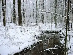 Мельничка зимой