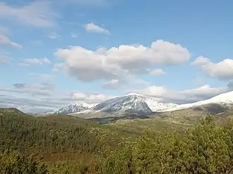 Голец Иняптук