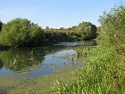 В Гаврилове Посаде