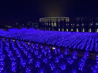 Искусственный шалфей в Парке Галицкого зимой