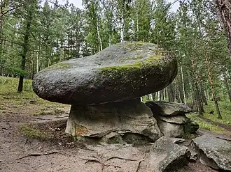 «Каменный Гриб»