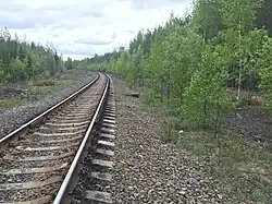 Вид в сторону ст. Брусничная.