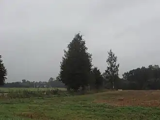 Поворот на Качурино с дороги Могилёв-Сухари