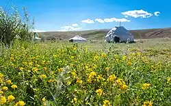 Кемпинг Тыдтуярык