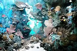 «Подводный мир Карибского моря»