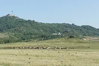 Колыванский хребет: гора "Большая" в окрестностях села Саввушка. Алтайский оптико-лазерный центр