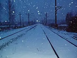 Конаковский мох зимой. Фотография со станции