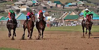 Конные скачки