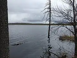 Северный берег.