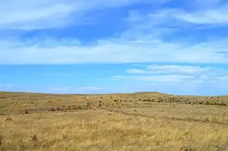 Провальская степь неподалеку от поселения Нижняя Ковалёвка