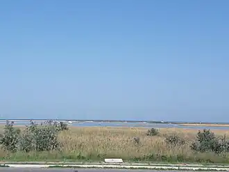 озеро: вид со стороны улицы Макарова