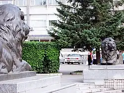 Львы со стороны улицы Вейнбаума