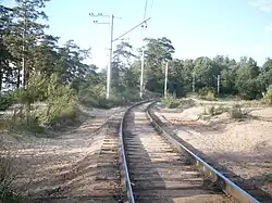 Кривая на участке Сестрорецк — Курорт. 2009 год