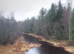 Нижнее течение. Вид с автодороги М10.