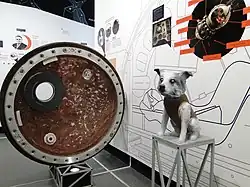 Крышка люка корабля-спутника Спутник-10 в музее