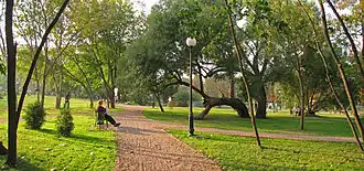 аллея парка