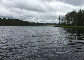 Северо-западная оконечность Куйккаярви