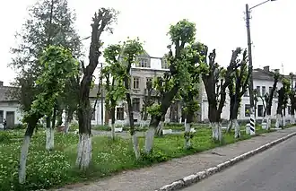 Центральная площадь посёлка