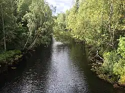 Вид против течения