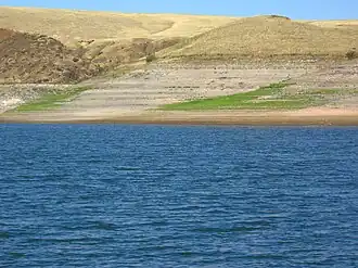 Вид на северную часть Куртинского  водохранилища летом 2009 года