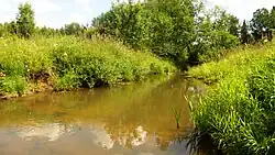 Кусь вблизи села Трифон (Антроповский район)