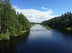 Вид против течения