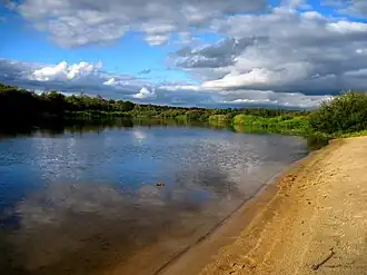 Берег реки Ипуть