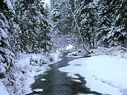 Низовье реки в конце октября