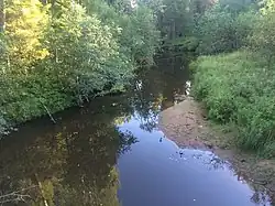 Вид по течению