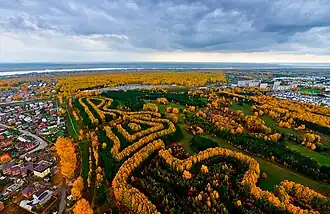 Лесопарк с воздуха