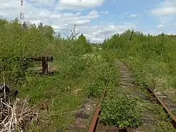 Подъездной путь к бывшему леспромхозу.