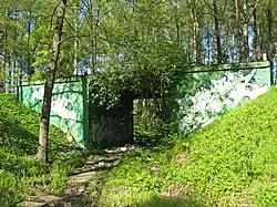 Мост-путепровод ОРАНЭЛ в створе улицы Шишкина