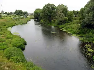 Лопасня в районе посёлка Крюково в Чеховском районе летом 2007 года