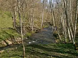 Лопухинка ниже радоновых озёр