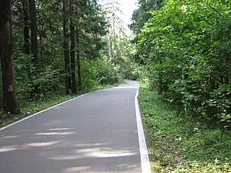 Лыжероллерная трасса в парке